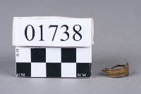 戒指藏品圖，第2張