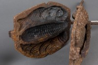 長鐵鋏藏品圖，第6張