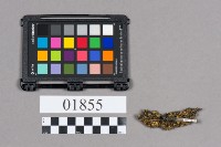 銀飾品藏品圖，第2張