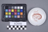 碟藏品圖，第5張