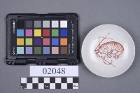 碟藏品圖，第5張