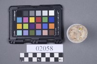 酒杯藏品圖，第6張