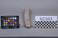 木構件藏品圖，第2張