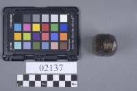 網墜藏品圖，第5張