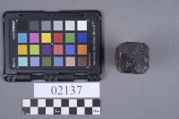 網墜藏品圖，第6張