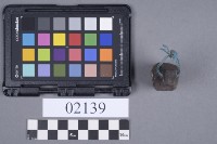 網墜藏品圖，第5張