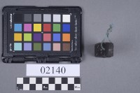 網墜藏品圖，第5張