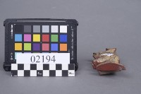 木構件藏品圖，第3張