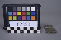 蝴蝶片藏品圖，第2張