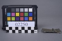 蝴蝶片藏品圖，第3張