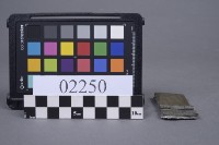 蝴蝶片藏品圖，第4張