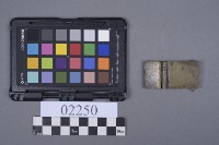 蝴蝶片藏品圖，第5張