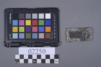 蝴蝶片藏品圖，第6張