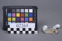瓷器殘件藏品圖，第3張