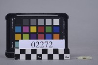 玉環殘片藏品圖，第1張