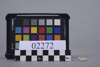 玉環殘片藏品圖，第2張