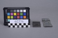 蝴蝶片藏品圖，第4張
