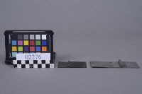 蝴蝶片藏品圖，第5張