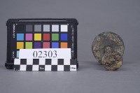 燭台藏品圖，第5張