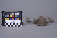 鐵耙藏品圖，第2張