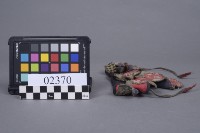 短圈藏品圖，第2張