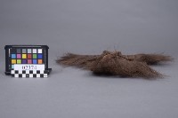 蓑衣擺飾藏品圖，第2張