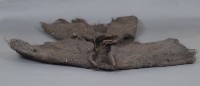 蓑衣藏品圖，第6張