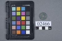 皇宋通寶藏品圖，第1張