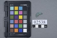 古幣殘件藏品圖，第1張