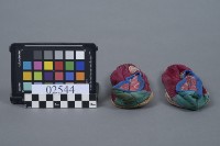 鞋一對藏品圖，第4張