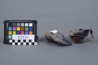 三吋金蓮藏品圖，第4張