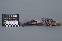 三吋金蓮藏品圖，第5張