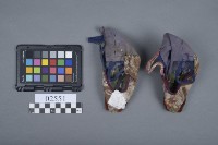 三吋金蓮藏品圖，第6張