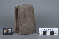 楊桃藏品圖，第2張