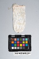 白熾紗罩燈紗罩藏品圖，第1張
