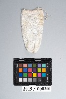 白熾紗罩燈紗罩藏品圖，第2張