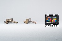 姜氏白熾紗罩燈配件汽化管藏品圖，第4張