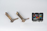姜氏白熾紗罩燈配件汽化管藏品圖，第7張