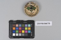 金屬拋光油藏品圖，第1張