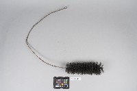 霧砲清潔刷藏品圖，第2張