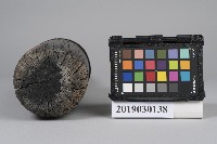 霧砲子彈充填棍藏品圖，第4張