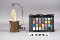 姜氏白熾紗罩燈紗罩頭蓋藏品圖，第1張