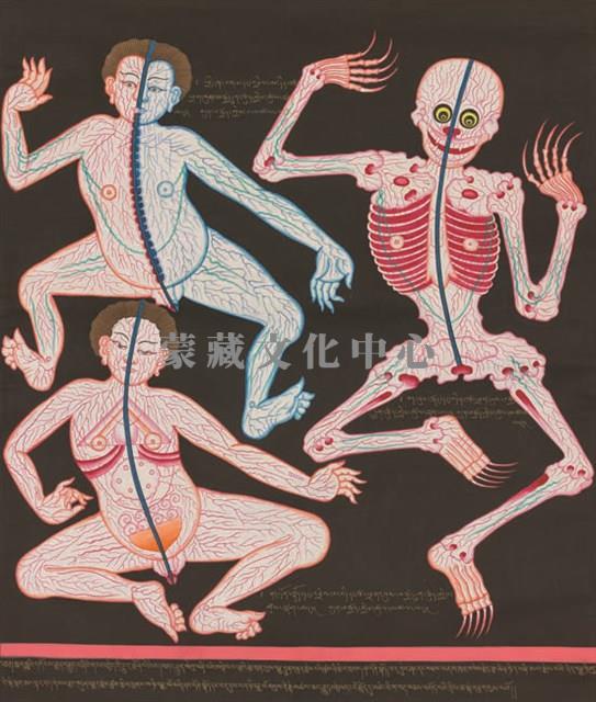 第十三圖 人體的連接脈 - 《唐卡藝術》選集藏品圖，第1張