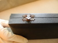 STAROBA藏品圖，第9張