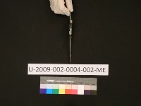 STAROBA藏品圖，第16張