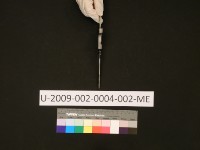 STAROBA藏品圖，第17張