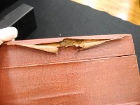 Camera lens Collection Image, Figure 8, Total 67 Figures