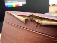 Camera lens Collection Image, Figure 9, Total 67 Figures