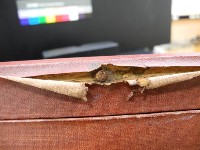 Camera lens Collection Image, Figure 13, Total 67 Figures