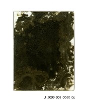 曾欽錫家族成員合照「玻璃乾版底片」藏品圖，第2張